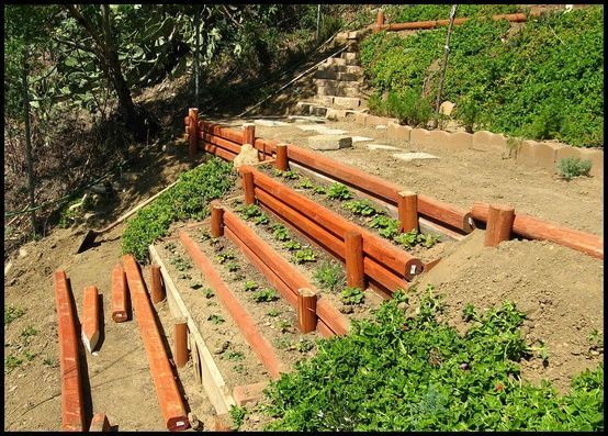 Hillside Landscaping – Terracing with Wood