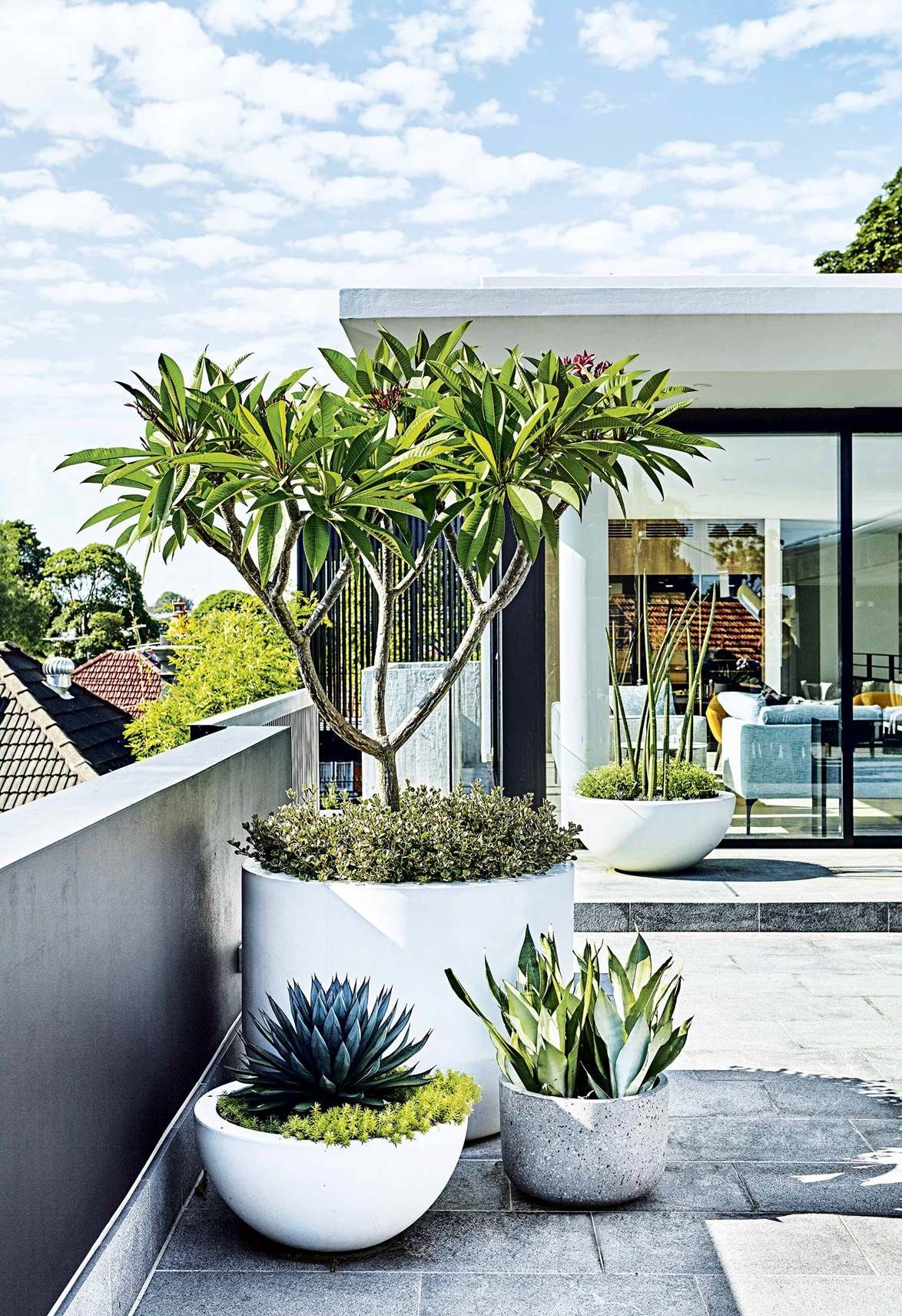 This rooftop terrace features a low-maintenance garden -   11 terrace garden landscape
 ideas