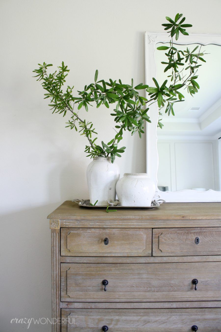 Texas House -   12 plants In Bedroom dresser
 ideas