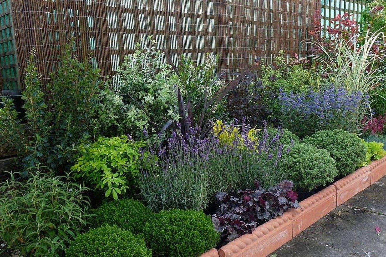 30 Low-maintenance perennials for the busy gardener -   12 small garden design Low Maintenance
 ideas
