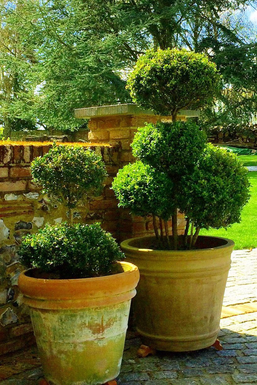 The best plants for amazingly low maintenance garden pots -   12 small garden design Low Maintenance
 ideas