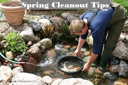 How to Clean Your Water Feature for Spring -   13 backyard garden pond
 ideas