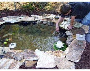 How to Build a Pond Easily, Cheaply and Beautifully -   13 backyard garden pond
 ideas