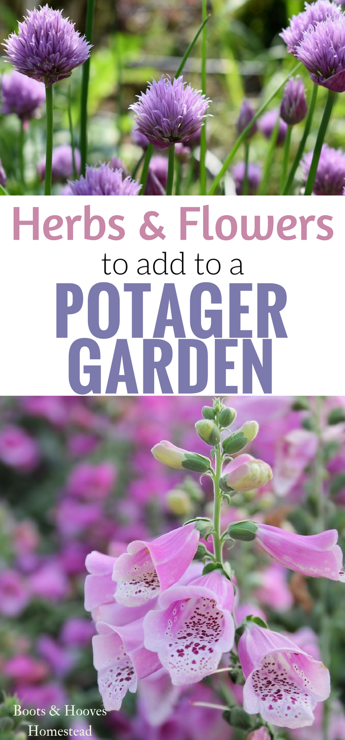 Herbs and Flowers for a Potager Garden Design -   13 garden design Natural landscaping
 ideas