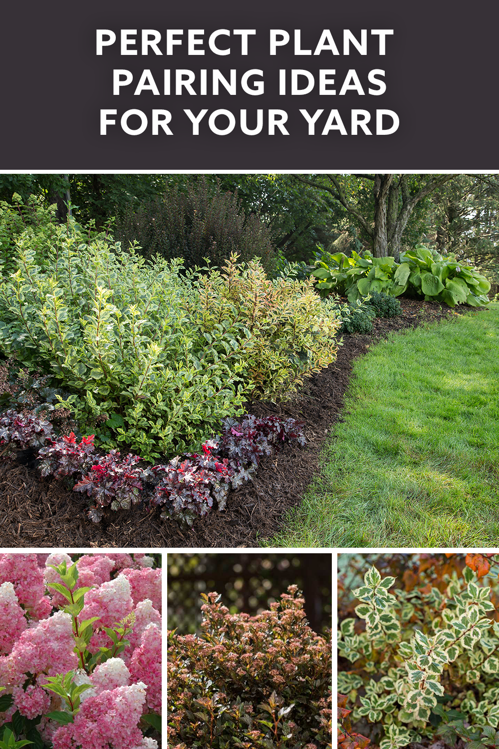 Perfect Plant Pairings -   13 garden design Natural landscaping
 ideas