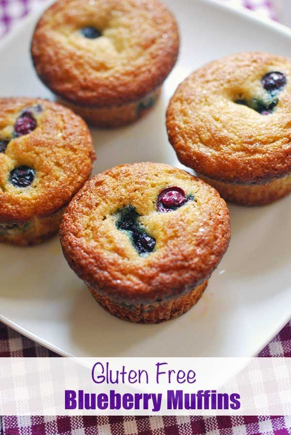 Gluten Free Blueberry Muffins -   13 healthy recipes Gluten Free greek yogurt
 ideas