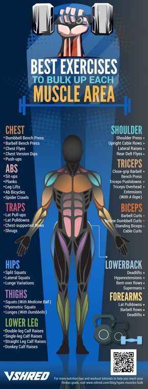 Workout Techniques for Muscle Building and Losing Calories -   16 fitness tips muscle
 ideas