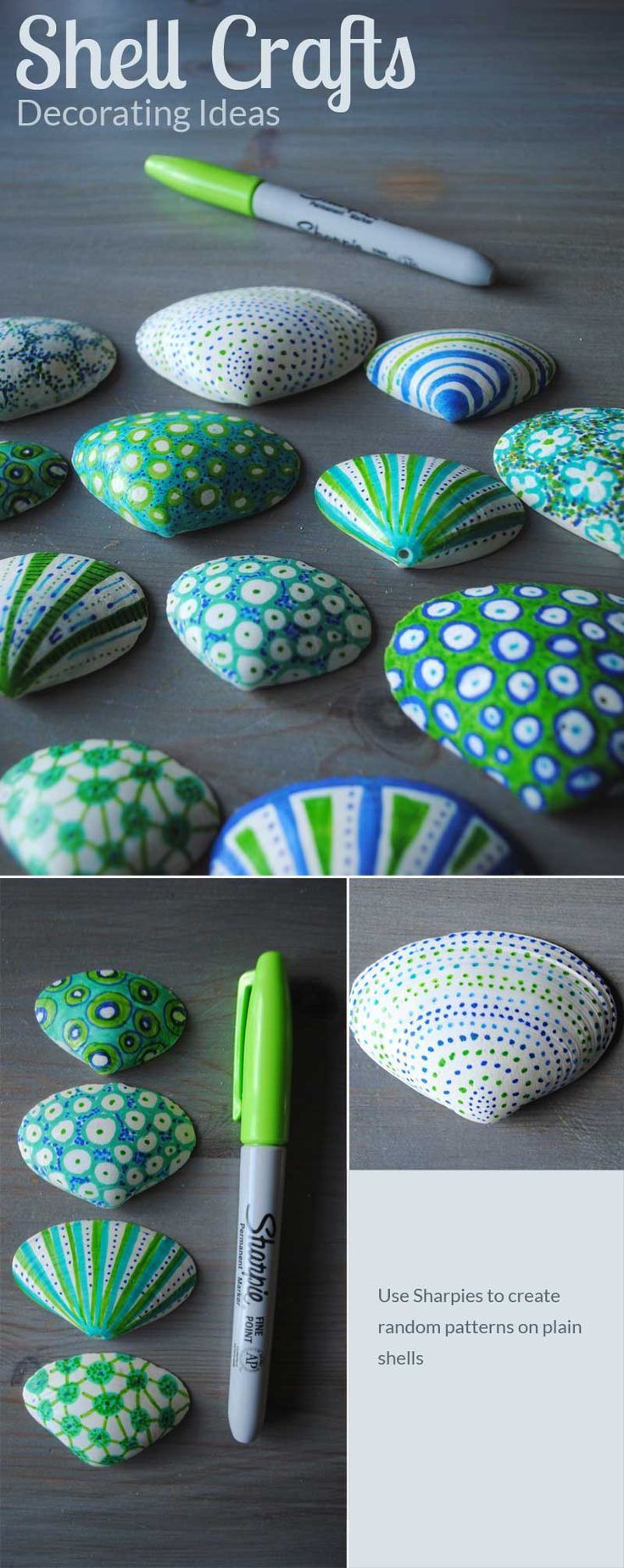 Decorated shells from Vacation -   19 beach shell crafts
 ideas