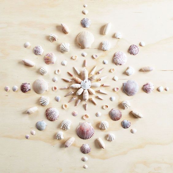 Mandala II -   19 beach shell crafts
 ideas