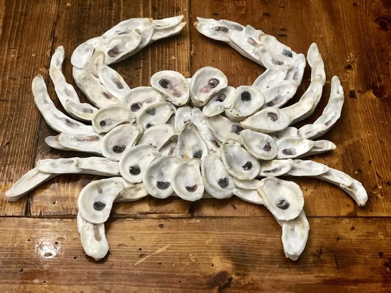 Crab, Oyster Crab, Southern Decor, Oyster Art, Coastal, Ocean, Bay Area Decor, Gift, Editors Pick, Natural, Charleston, Home, Surfing -   19 beach shell crafts
 ideas