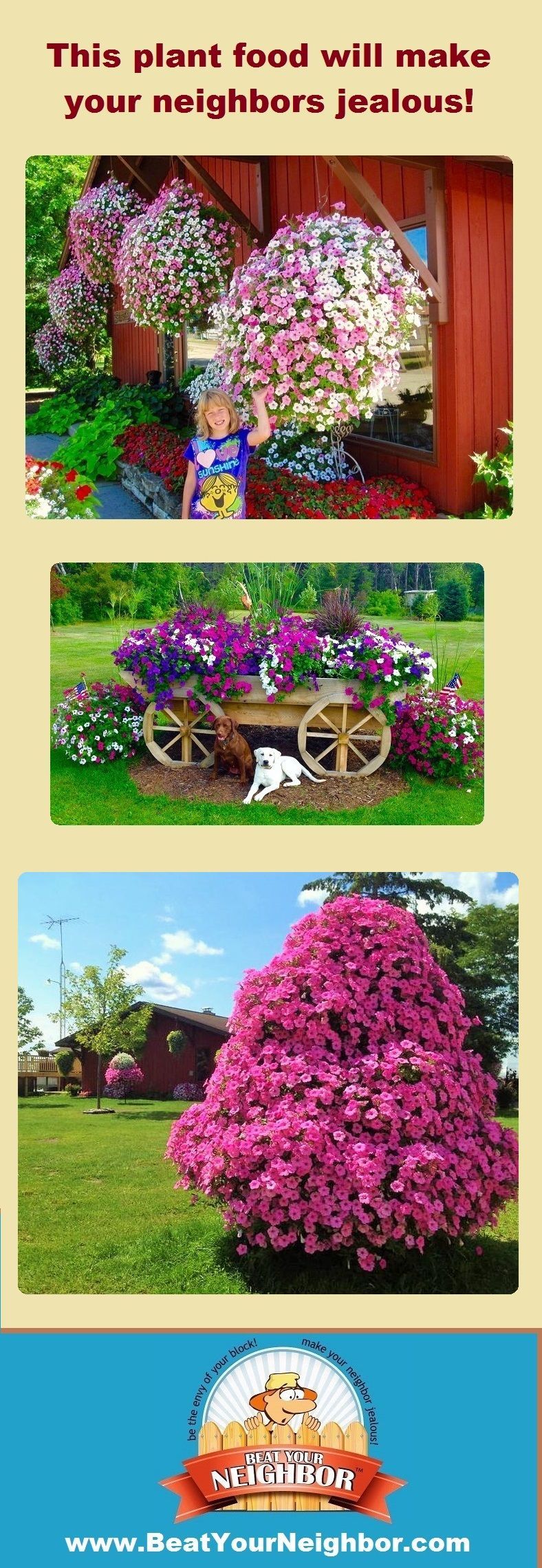 If you want huge flowers this year, you need to check out www.BeatYourNeighbor.com -   19 plants Climbing decks
 ideas