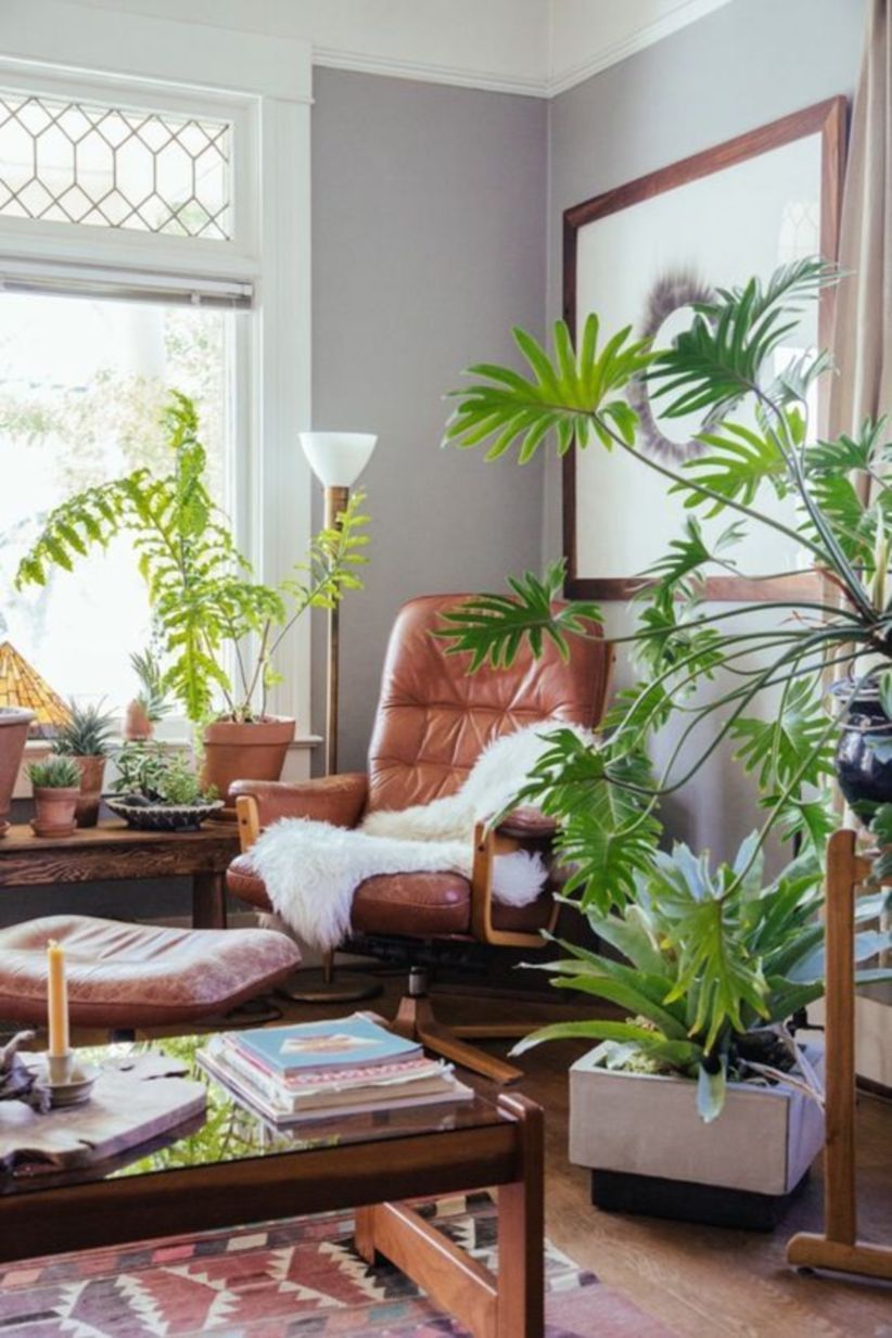 40 Stunning Indoor Plants Decor Ideas For Your Apartment -   19 plants Decor painting
 ideas