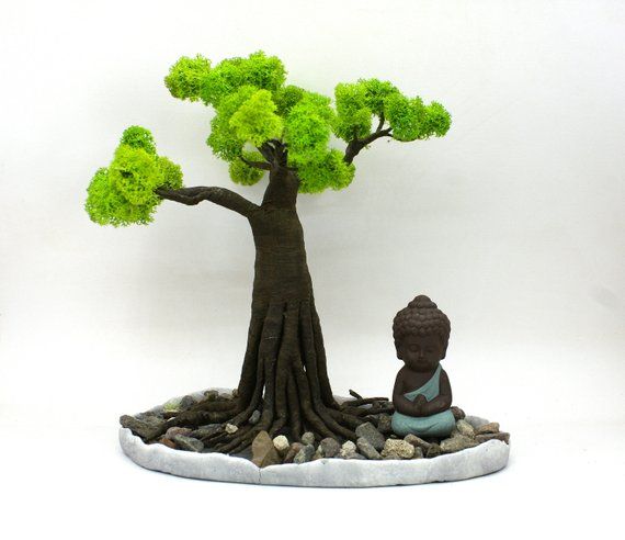 Mini zen garden Buddha statue Boddhi bonsai tree spiiritual gift office desk plant Fairy garden Desk -   19 tiny zen garden
 ideas