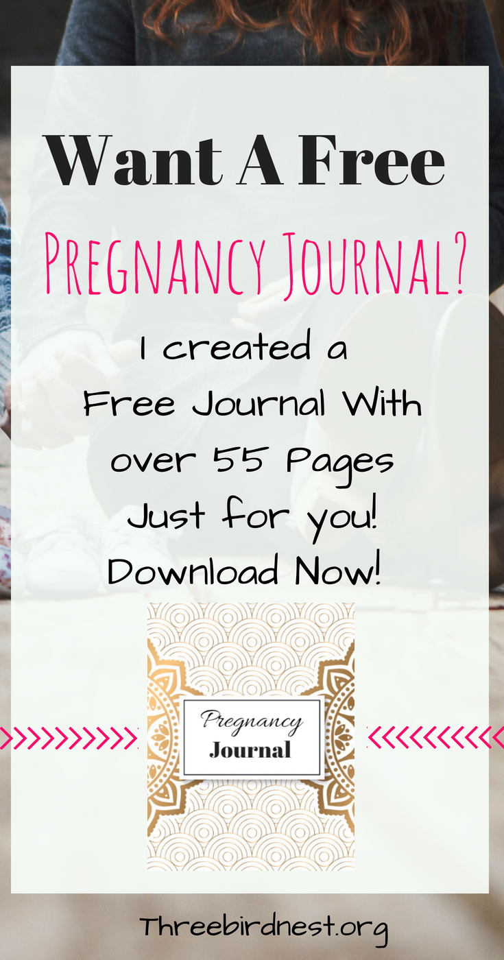 A 55 Page FREE Pregnancy Journal For You! Instant Download! -   21 pregnancy diet tracker
 ideas
