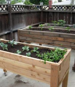 DIY Waist High Planter Box -   25 diy projects Outdoor planter boxes
 ideas