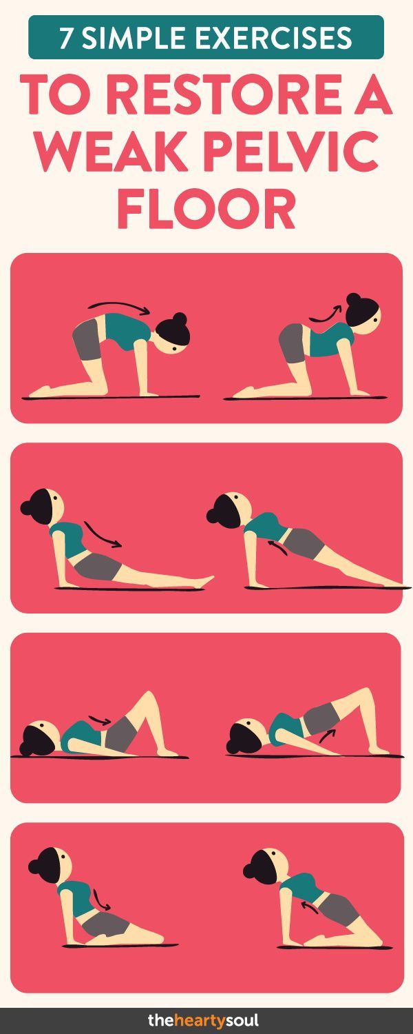 7 Simple Exercises to Restore a Weak Pelvic Floor -   9 fitness exercises muscle
 ideas