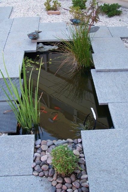 Attracitve Fish Pond In Your Backyard- 23 Impressive Ideas -   9 garden pond contemporary
 ideas
