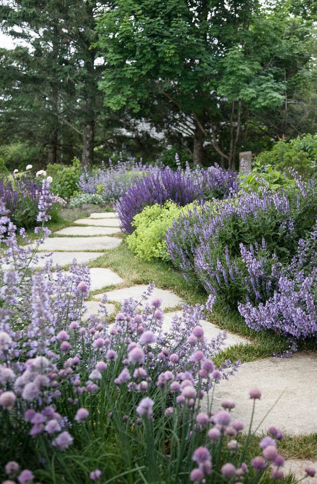 20 Ways to Landscape With Shrubs -   11 garden design Luxury architecture ideas