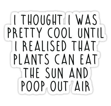 Plants can eat the sun Sticker -   11 planting Quotes mottos
 ideas