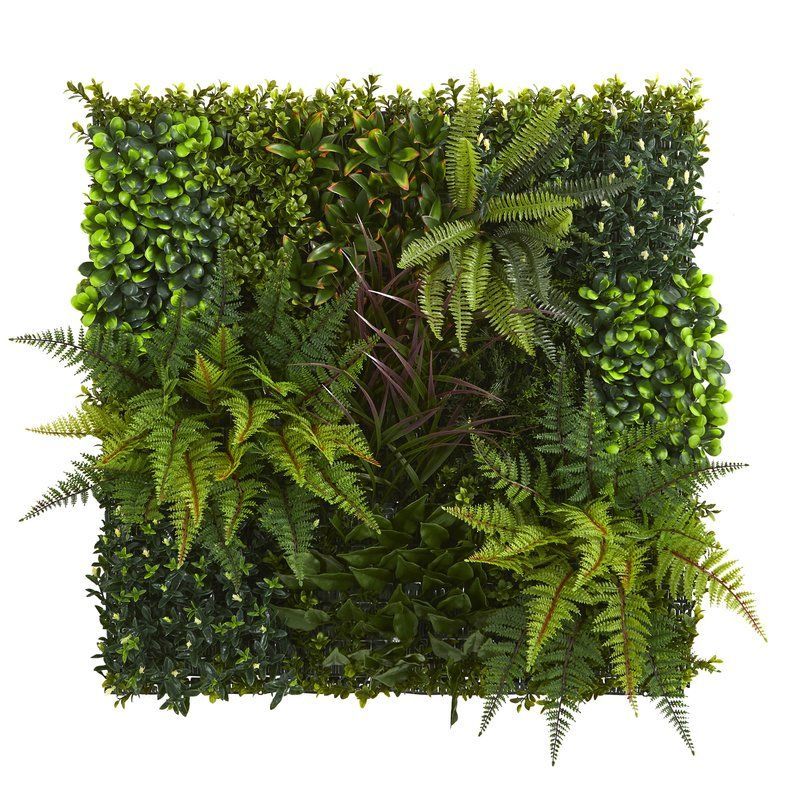 Artificial Living Wall Succulent Plant -   11 planting Texture living rooms
 ideas