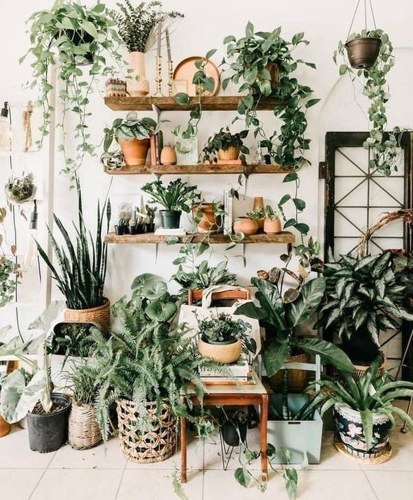 30+ Luxurious Indoor Decorative Ideas With Plants -   11 plants Aesthetic ideas
