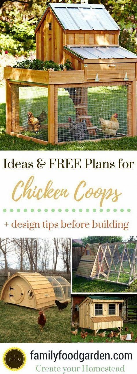 Fantastic Chicken Coops: Designs, Free Plans & Ideas -   12 garden design DIY chicken coops
 ideas