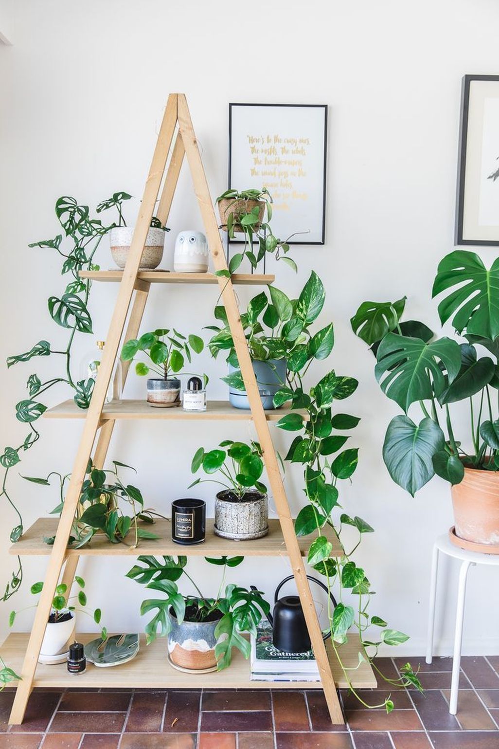 48 Amazing Indoor Plants Decor Ideas -   12 plants Decoration shelf
 ideas