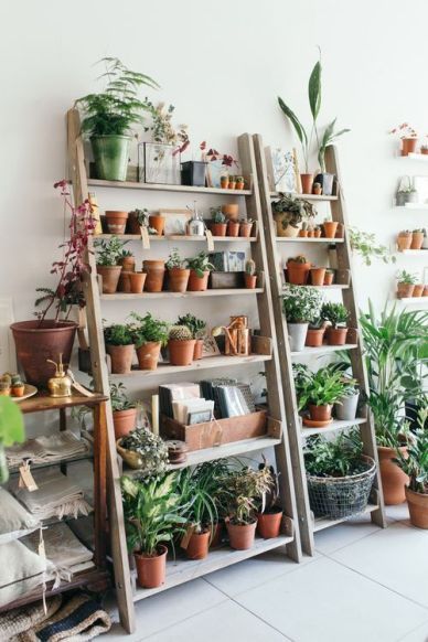 57 Beautiful Indoor Garden Decoration Ideas -   12 plants Decoration shelf
 ideas
