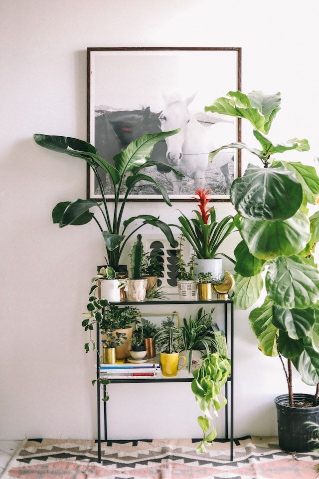Art and Plant Shelf Trend Decorating Ideas -   12 plants Decoration shelf
 ideas