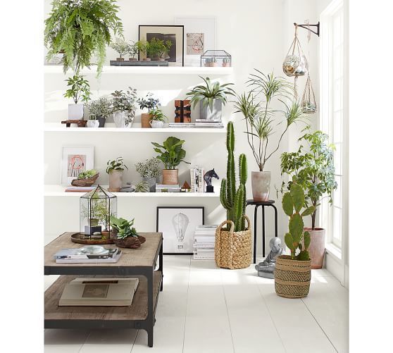 Faux Potted Greater Burdock Houseplant -   12 plants Decoration shelf
 ideas