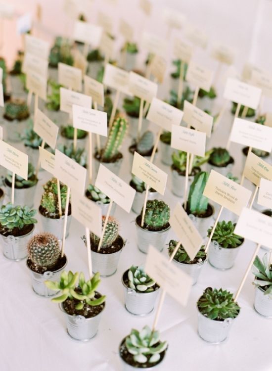 Everything You Need for a Cool Cactus Wedding! -   13 cute wedding Favors
 ideas