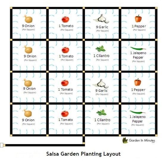 Grow towards a Goal! Grow a Salsa Garden -   13 plants design layout ideas