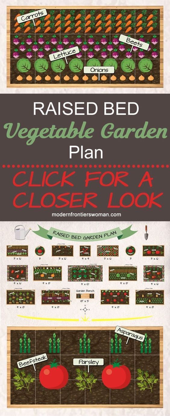 Raised Bed Vegetable Garden Plan -   13 plants design layout ideas