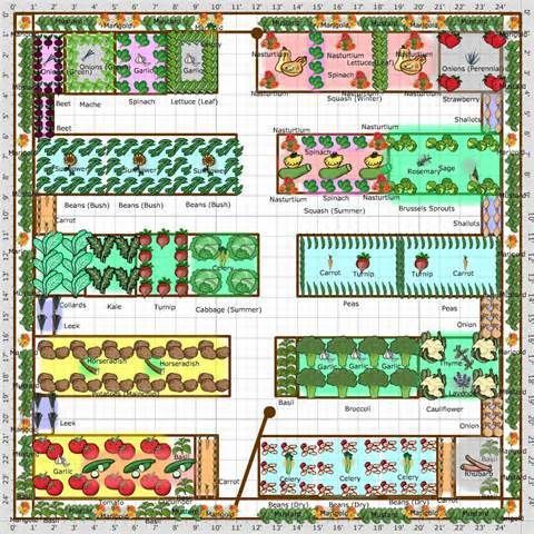19 Vegetable Garden Plans & Layout Ideas That Will Inspire You -   13 plants design layout ideas