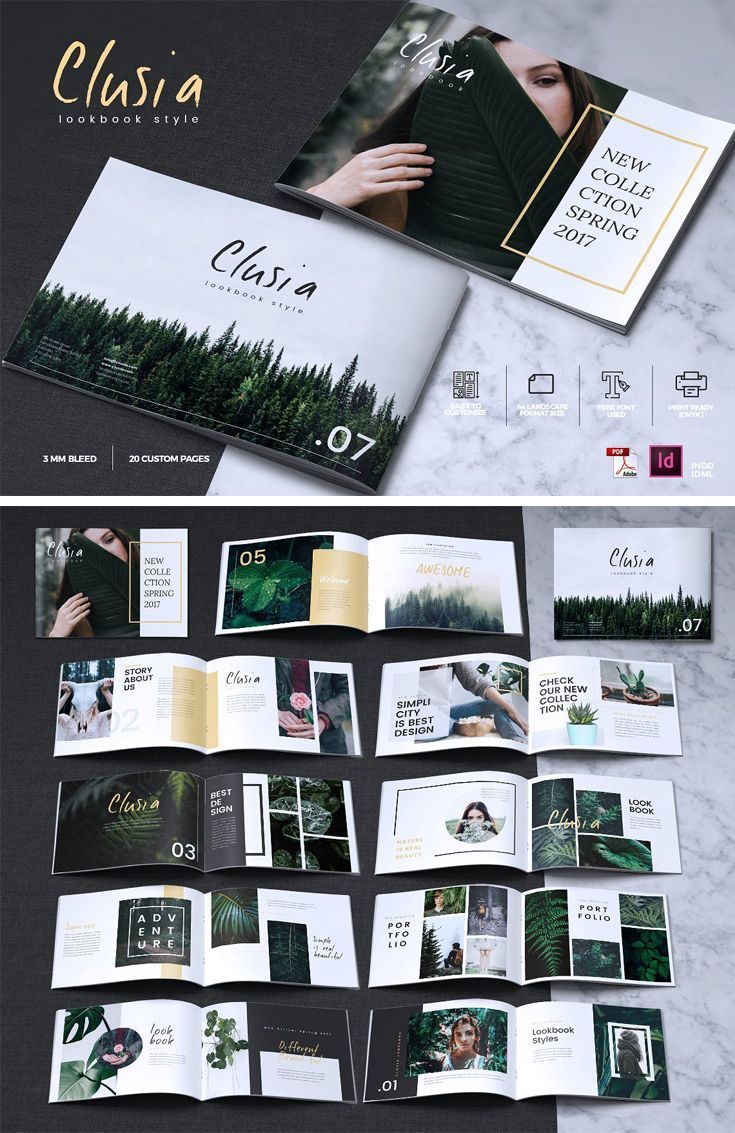 CLUSIA - Lookbook Brochure Catalogue -   13 plants design layout ideas