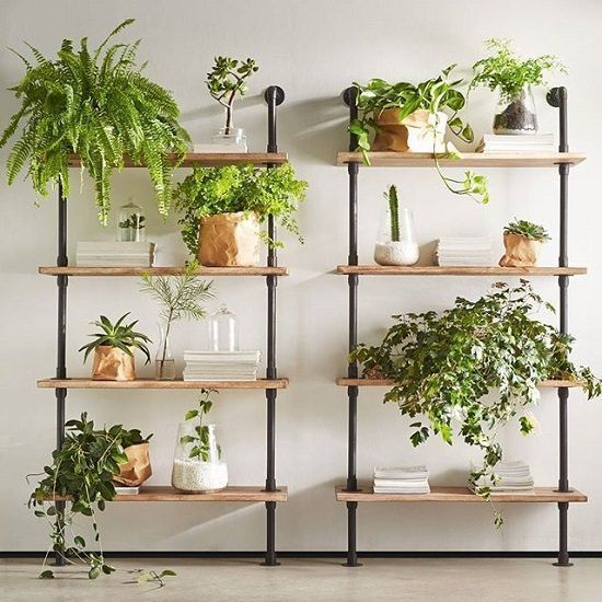 16 Indoor Plant Wall Projects That Anyone Can Do -   15 plants Indoor spaces
 ideas