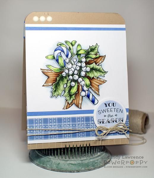 Berry Sweet Holiday Stamp Set -   16 holiday Images stamp sets
 ideas