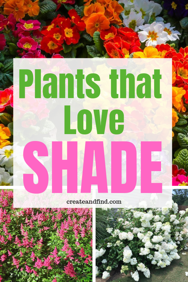 The 10 Best Plants that Grow in Shade -   16 plants Flowers projects
 ideas