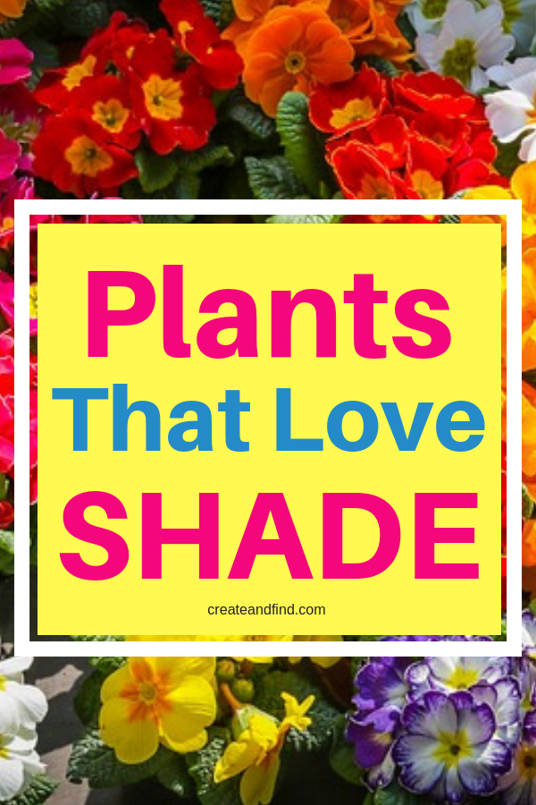 The 10 Best Plants that Grow in Shade -   16 plants Flowers projects
 ideas