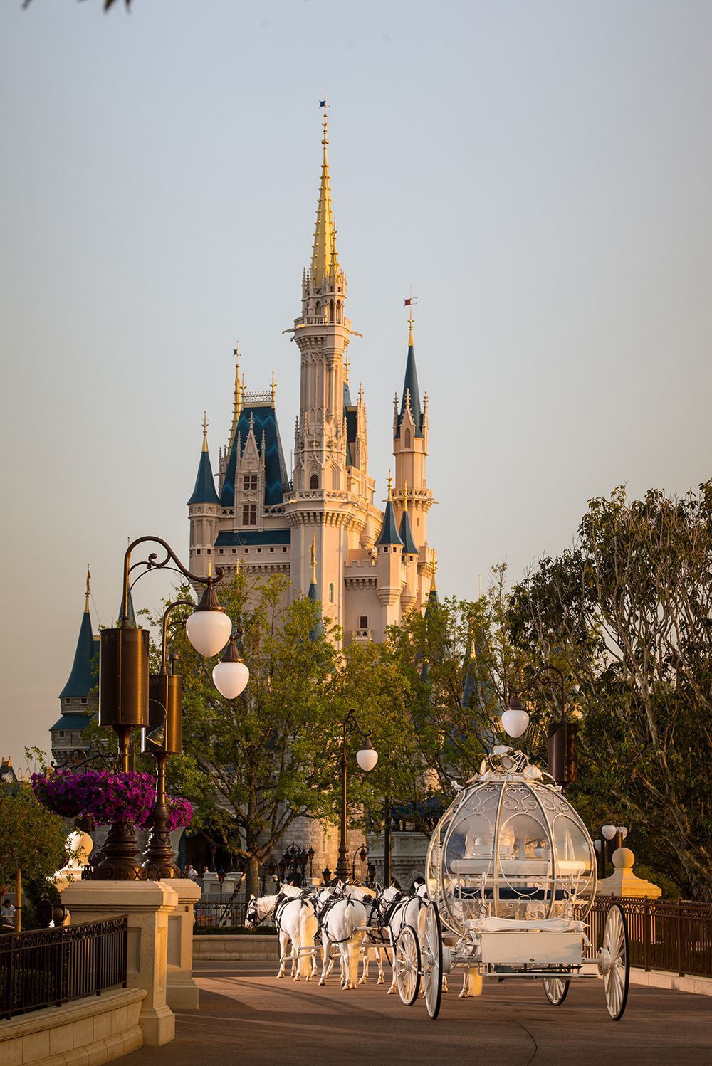 You Can Now Get Married in Front of Cinderella's Castle at Disney World -   16 wedding Disney families
 ideas
