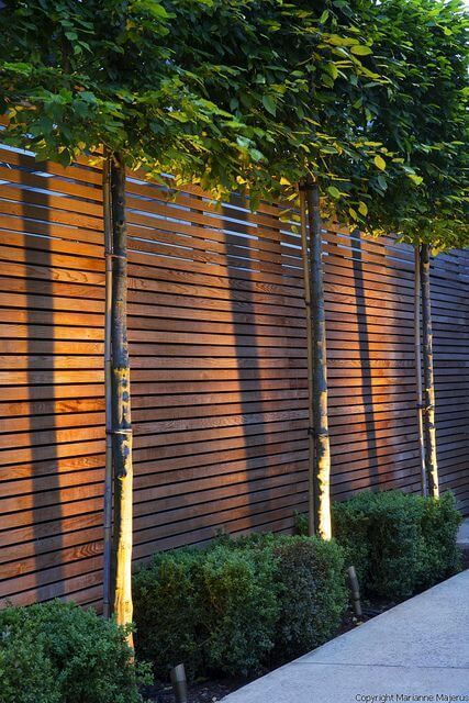 5 Unique Wooden Fence Ideas -   18 garden design Wood fence ideas