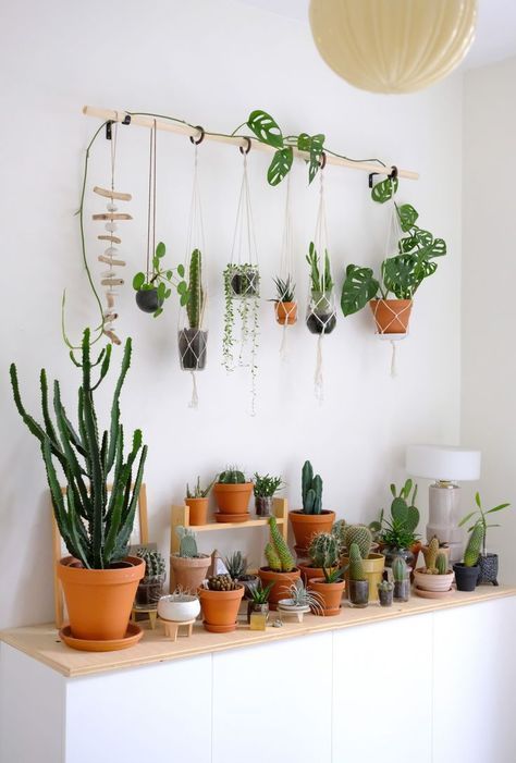 DIY hanging plant wall with macrame planters -   23 plants Hanging lush ideas