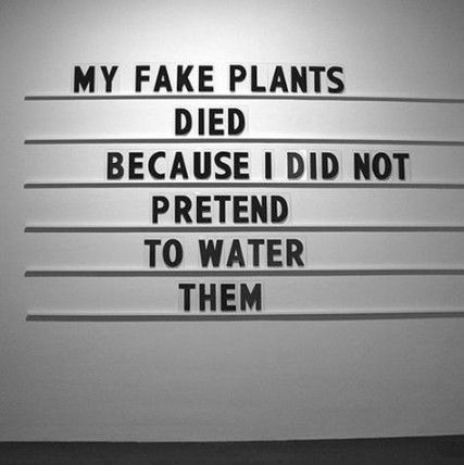 69 trendy plants quotes water -   8 water plants Quotes
 ideas