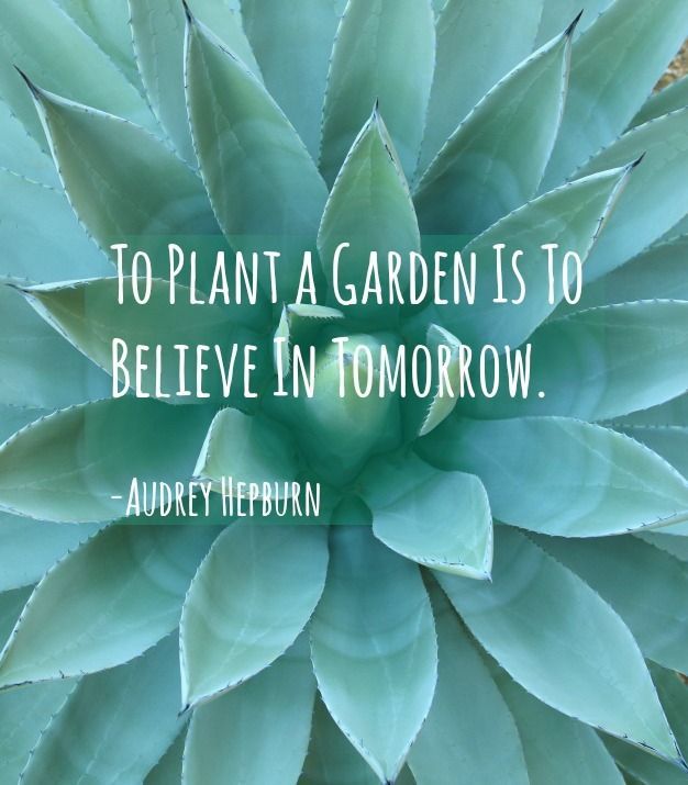Garden Quotes: 36 of the Best Gardening Quotes by Famous People -   8 water plants Quotes
 ideas
