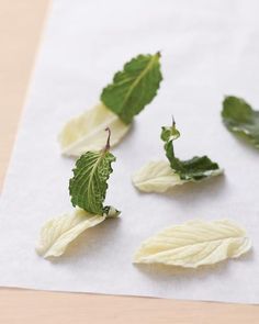 Chocolate Leaf Cake Decoration How-To -   11 cake Decorating tips and tricks ideas