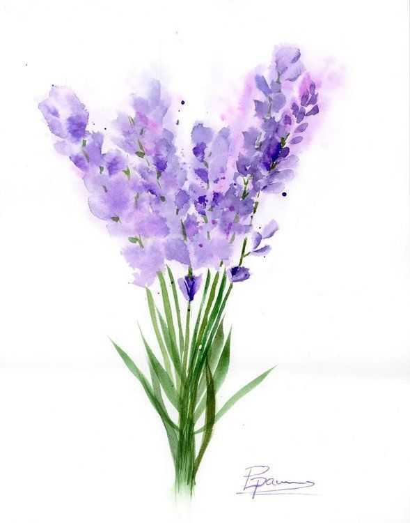 Lavender painting -   11 lavender plants Painting ideas