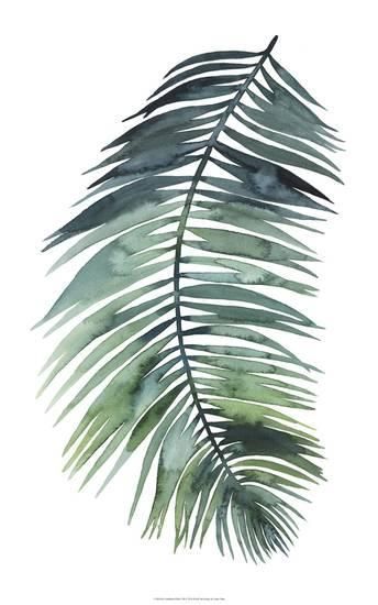 Untethered Palm VIII -   11 palm plants Illustration ideas