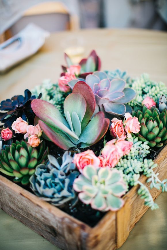 Get Inspired by this California Country Wedding -   11 room decor Plants free people ideas