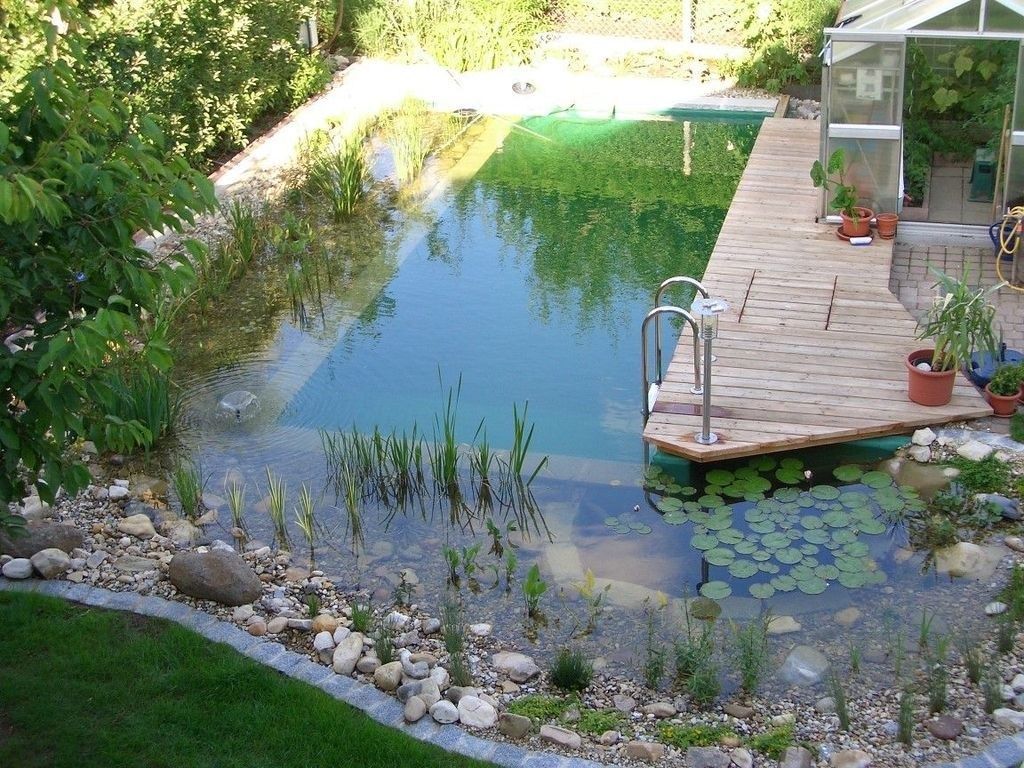 20+ Modern Natural Swimming Pools That Will Delight You -   12 garden design Modern swimming pools ideas