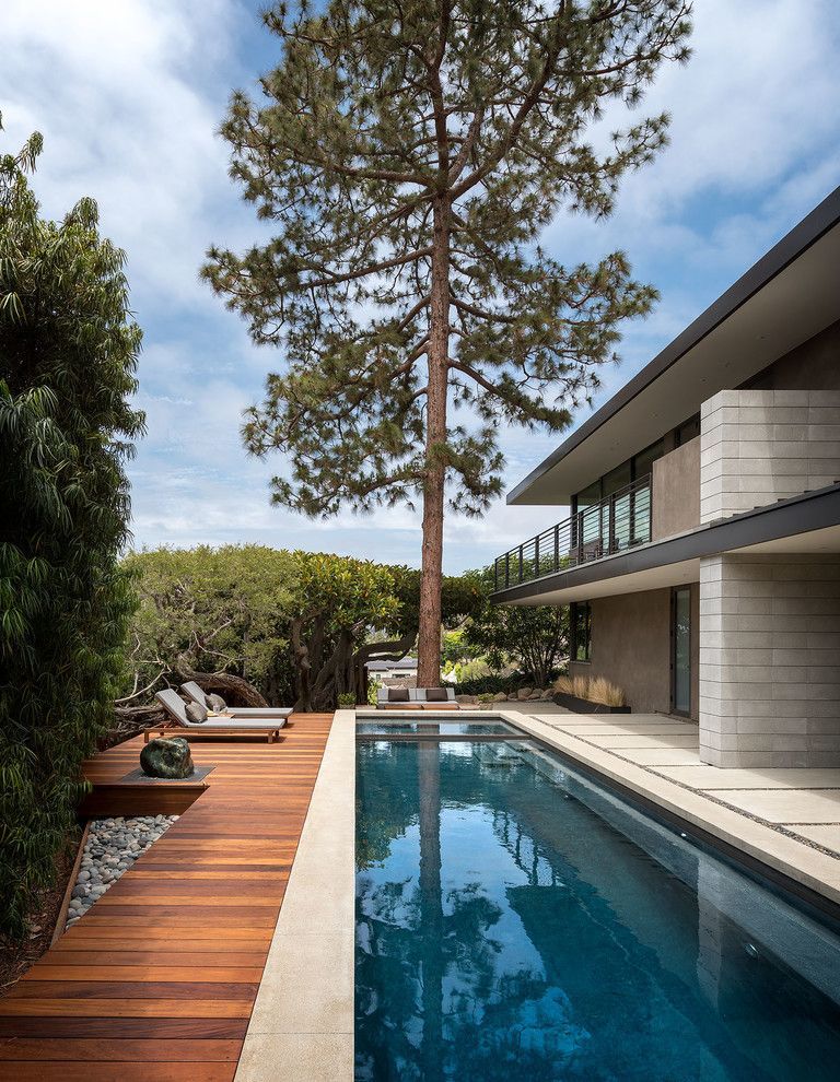 18 Breathtaking Mid-Century Modern Swimming Pool Designs -   12 garden design Modern swimming pools ideas